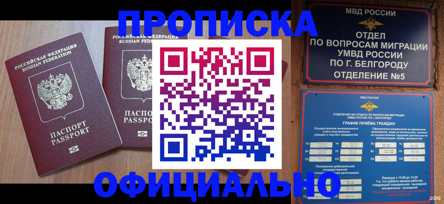 найти адрес прописки в Видном